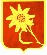 Wappen 8. Staffel