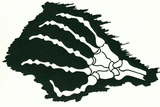 Wappen 3. Staffel